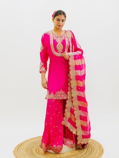Rani Pink Organza Suit Set