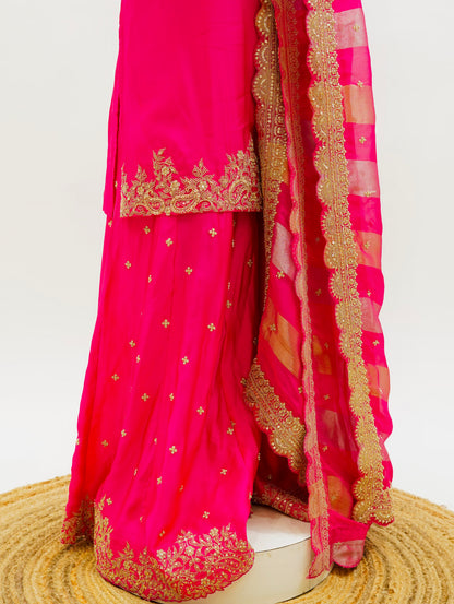 Rani Pink Organza Suit Set