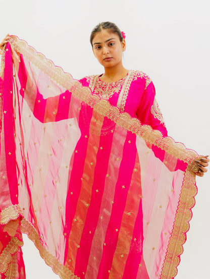 Rani Pink Organza Suit Set