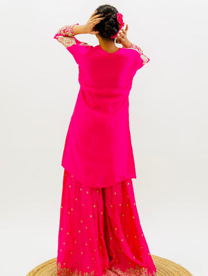 Rani Pink Organza Suit Set