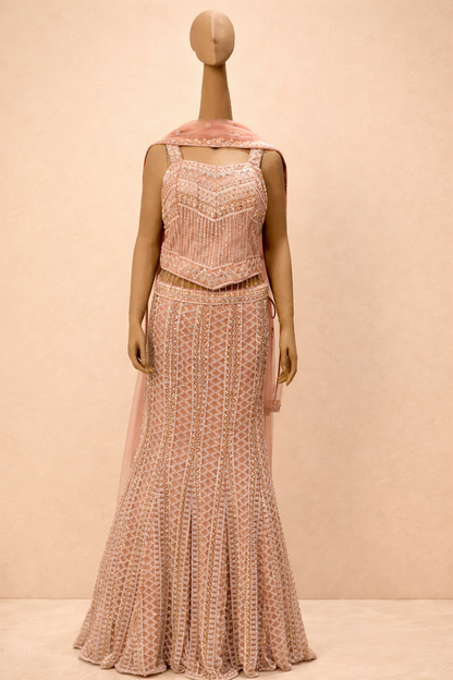 Blush Pink Embellished Mermaid Lehenga Set