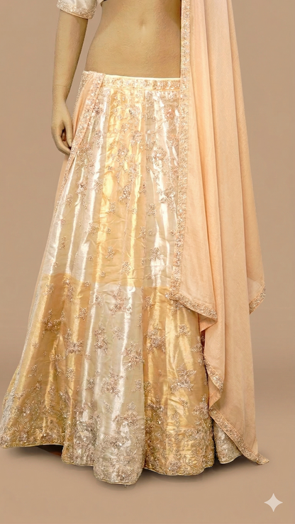 Champagne Glimmer: Hand-Embellished Metallic Lehenga Set